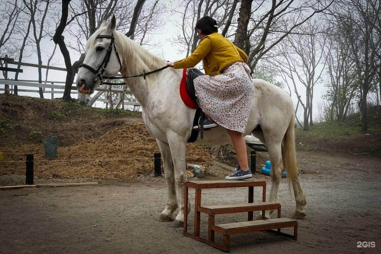 Покататься на лошадях у моря — эмоции для души и кадра