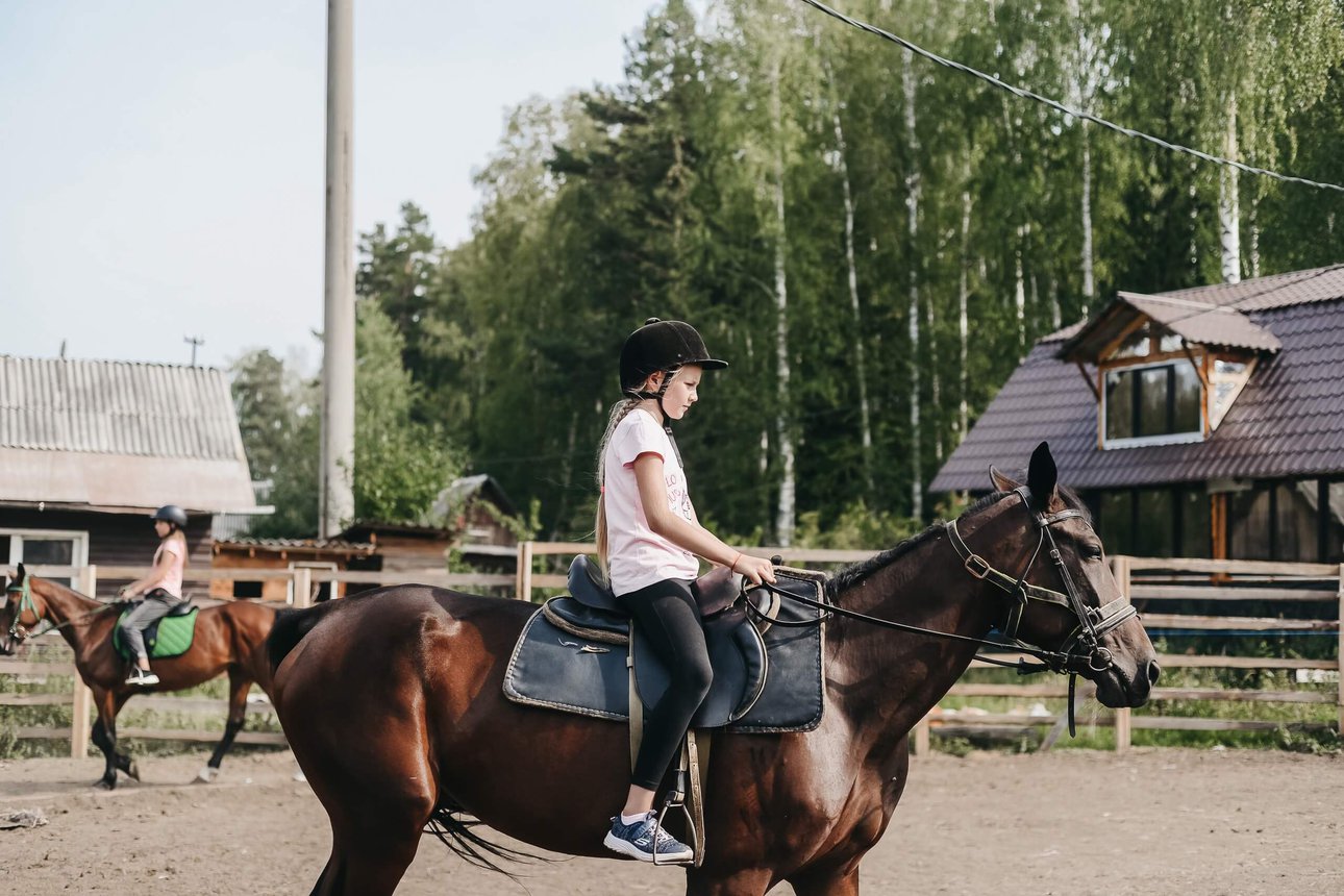 Семейная прогулка на лошадях — моменты единения без суеты